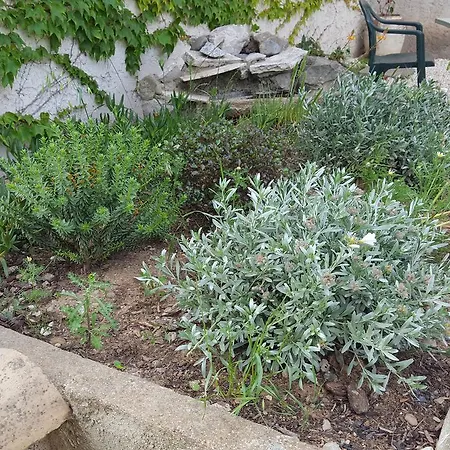Aux Oliviers Homps (Aude)